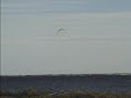 Kite surf Nico.wmv - 06-03