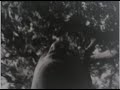 DreamChase