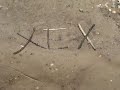 XEX Manele-Gratis.net