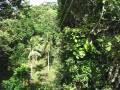 videos de MVI_0900.AVI