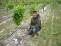 perkjobs.co.nz roadtrip. Day 13: Working on a Vineyard