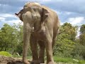 Tour Africam Safari Puebla México Tour Africam Safari Puebla México