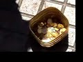 The Golden Ass
