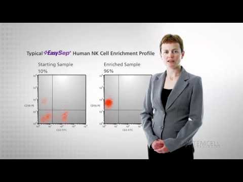 how to isolate mouse nk cells