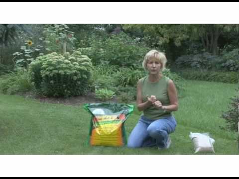 Grow A Better Lawn With Class Act 2 Premium Tall Fescue Grass Seed