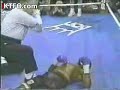 Boxer KTFO and Still Punching