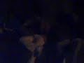 haydar,cenk,selcuk sen benden gitin gideli