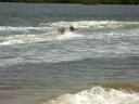 RoccoHoudini kneeboarding