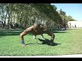 Extreme PushUps