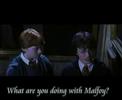 I Still Believe [Draco and Hermione]