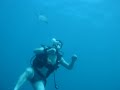 Diving In Maldives With Turtles In A Thong