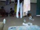 homem-aranha-gay.html