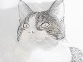 Just cats