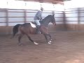 Bentley Jumping