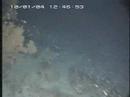 Submersible Dive Off Southern California
