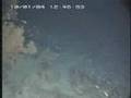 Submersible Dive Off Southern California