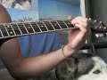 siberian husky relaxing to guitar
