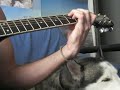 siberian husky relaxing to guitar