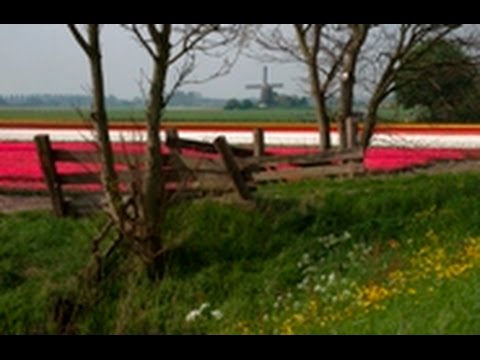 Framing with a Frame : You Keep Shooting with Bryan Peterson: AdoramaTV