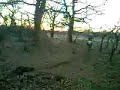 jumping my coolster