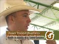 Cómo se realiza una subasta ganadera?. CAQUINOS Cómo se realiza una subasta ganadera?. CAQUINOS