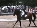 BRILLIANT TOO & KATE POULIN-NEFF in I-1 at 2007 Nat'l