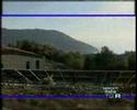 Guarda video