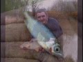 Carp fishing in pembroke