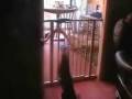 videos de Cat flip