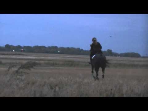 how to collect at the canter