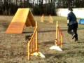 Kika - trening APS 28-29.11.09.wmv