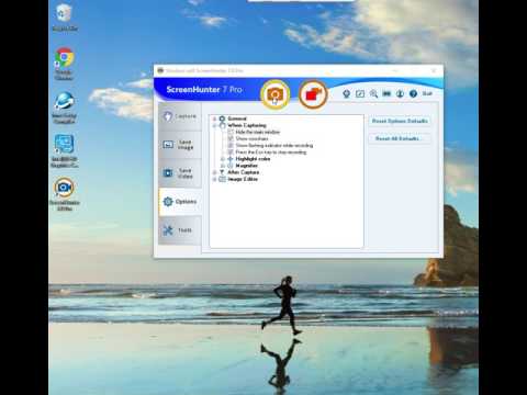 ScreenHunter Pro 7