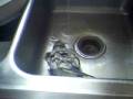 videos de Maxy taking a bath again