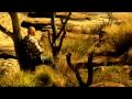 Jaco - Sal jy vir my waai