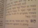 haggadah Sydney part 2