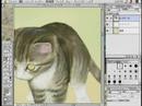 猫が可愛すぎるので描いてみた。～食べ盛りの子猫～