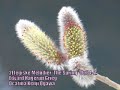 Ocarina Solo E.H.Grieg 2Elegiske Melodier\"The Spring\" Op34-2 Ocarina Solo E.H.Grieg 2Elegiske Melodier\"The Spring\" Op34-2