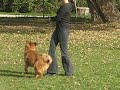 dokho va chercher le baton