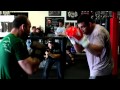 Werdum VS Wanderlei (sparring)