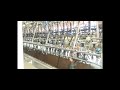 Washing Milking Shed
