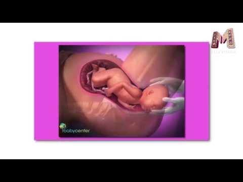 Как узнать скоро роды Как узнать скоро роды