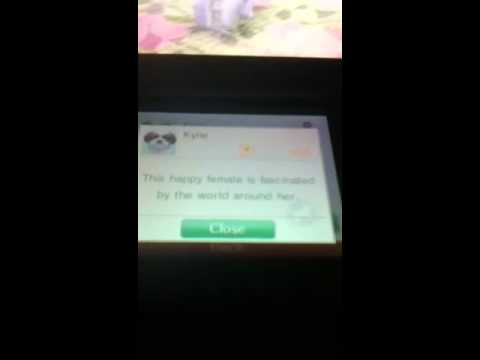 how to get more owner points on nintendogs 3ds