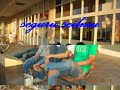 dilarang melarang ( bip )