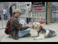 a movie of the life and times of mortz, a grand basset griffon vendeen or gbgv.  his pedigree name is 