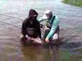 Todd takes a nice Chum Salmon on the fly.