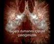 Sigaran�n Zararlar�   TeleSiparis com