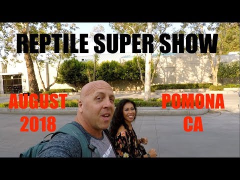 YouTube reptile video
