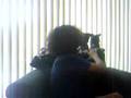 videos de My Demented, Retarted Version of Shoes II