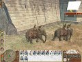 Empire Total War United Provinces (89)