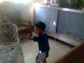 jimson
